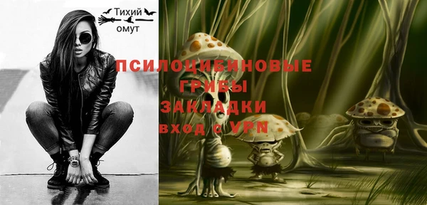 spice Лабытнанги