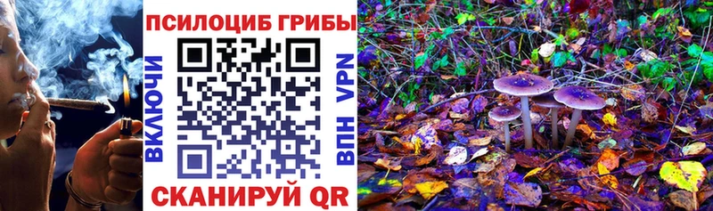 Псилоцибиновые грибы мицелий  Купить где  Октябрьский 